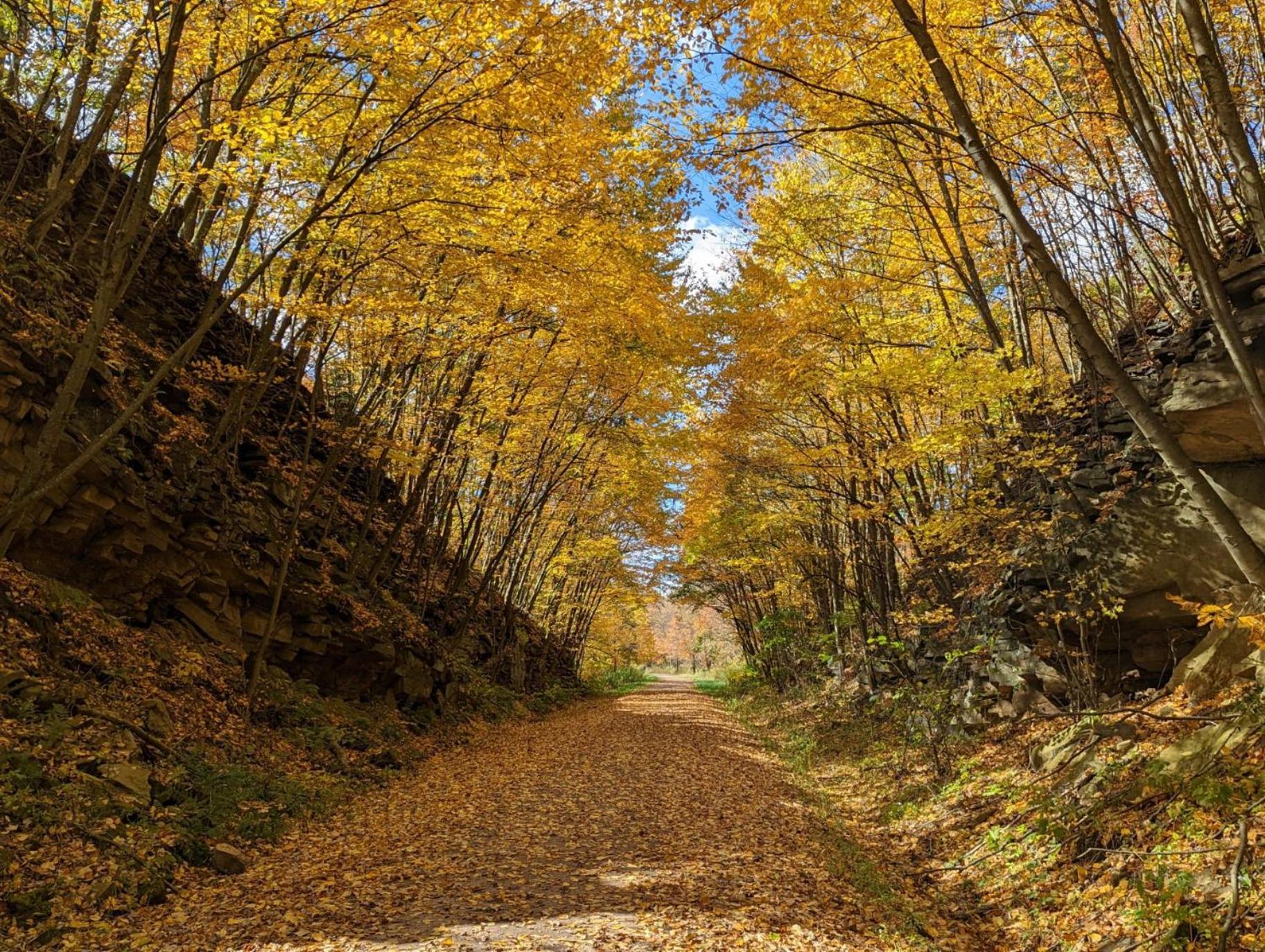 Stay In Ohiopyle Near Gap Trail, Restaurants, & The Fallls Екстер'єр фото